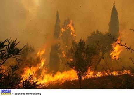 Πέντε χρόνια από τις φονικές πυρκαγιές της Ηλείας